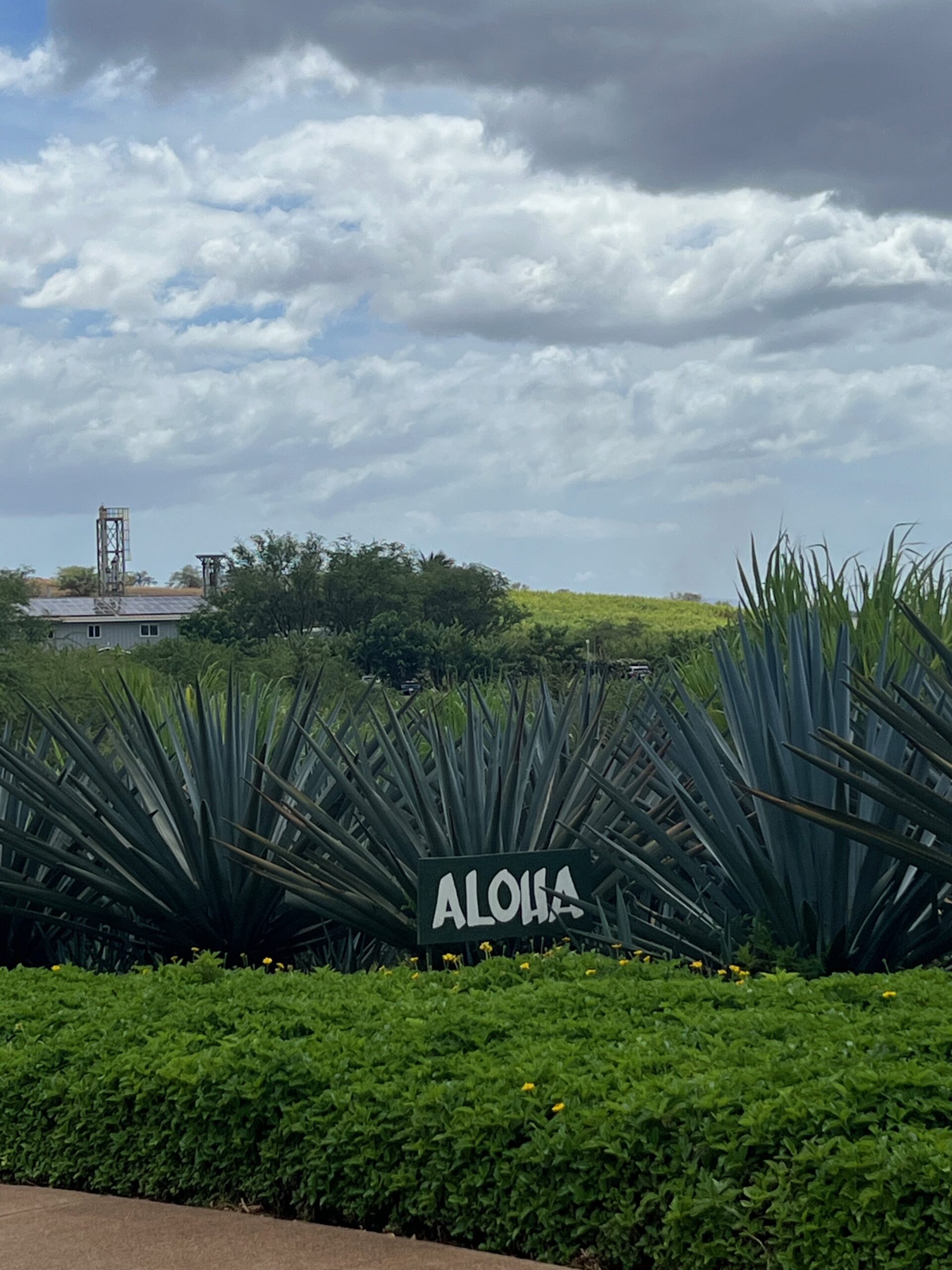 Aloha Sign