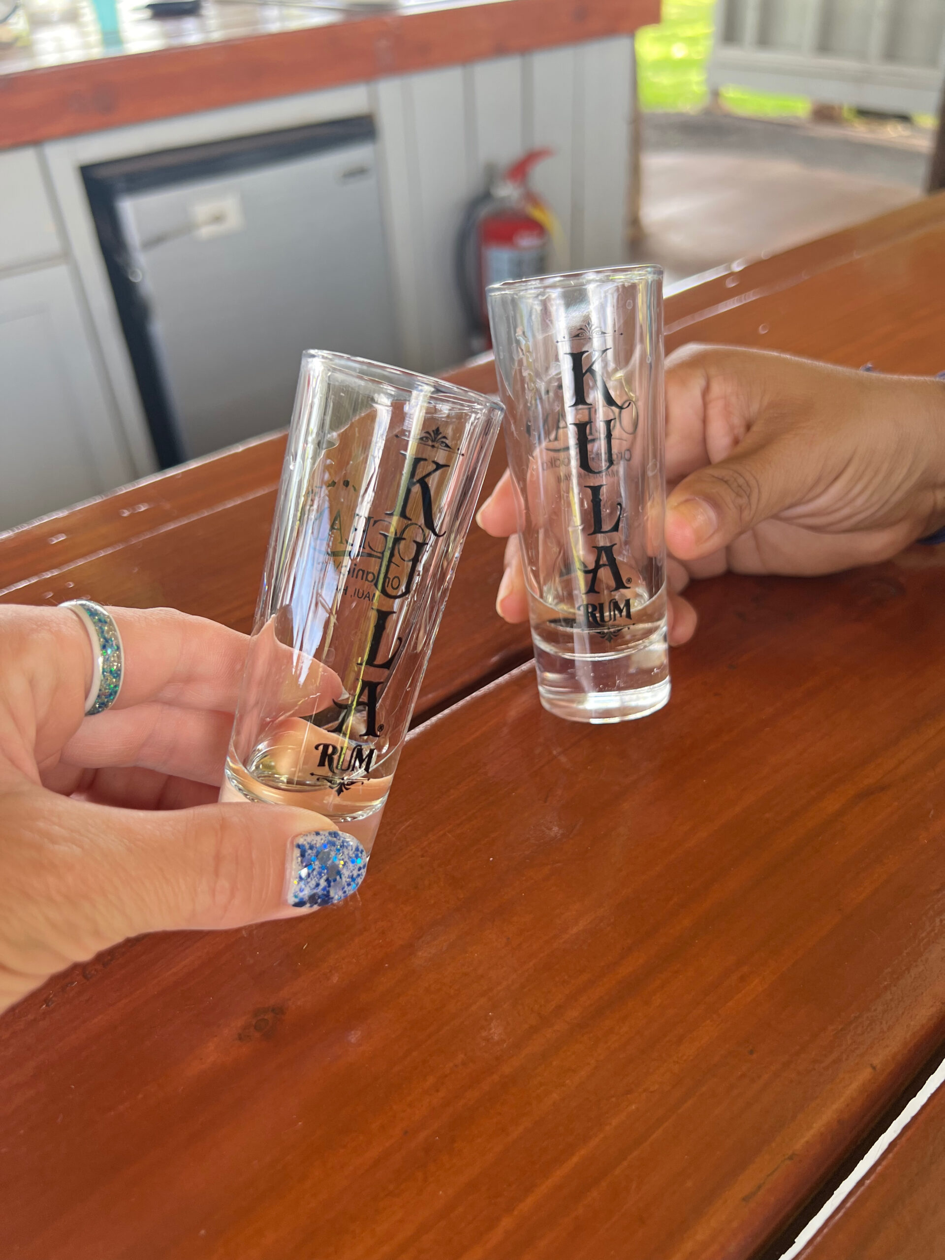Glasses at OCeanVodka